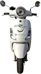 Gasoline scooter 50cc, Sym Fiddle 50 or alike (€ 90 per week, € 210 per month)